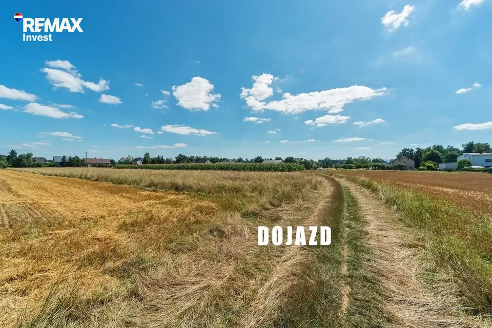 Zdjęcie 6