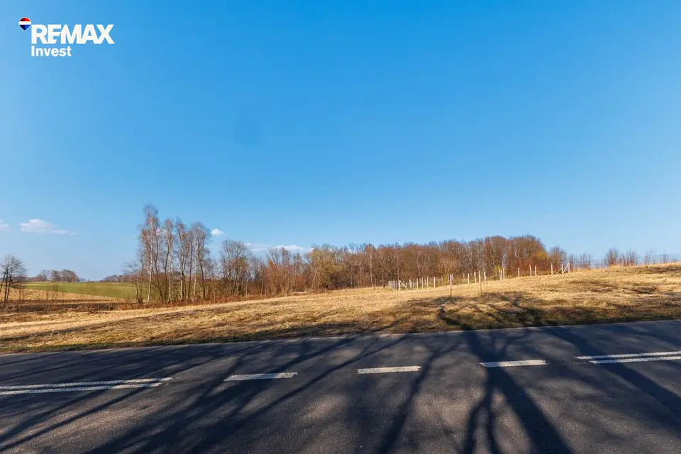 Zdjęcie 9