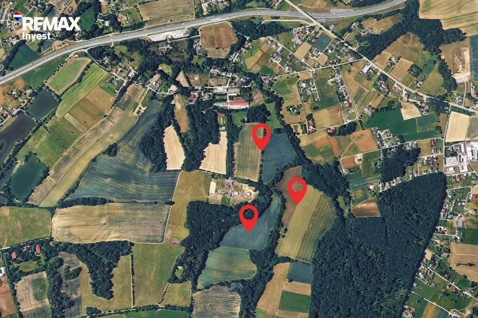 Zdjęcie 19