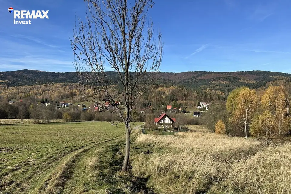 Zdjęcie 10