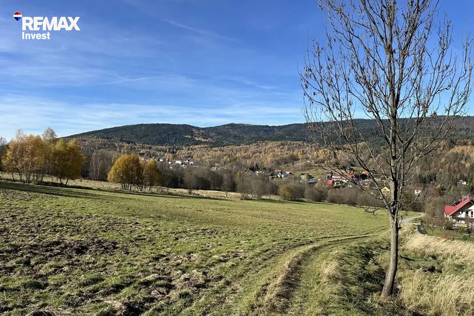 Zdjęcie 11