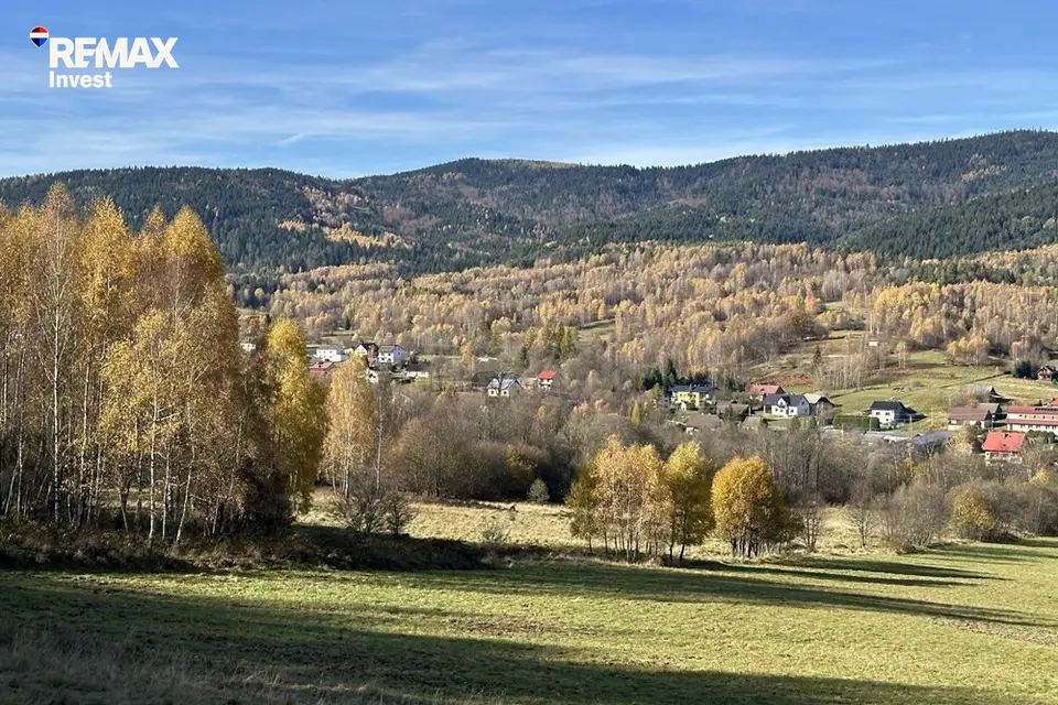 Zdjęcie 15