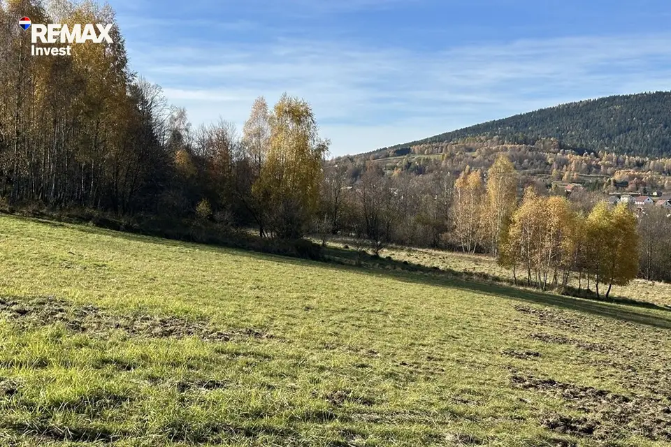 Zdjęcie 17