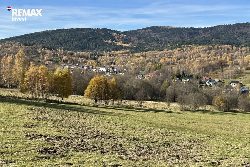 Zdjęcie 10