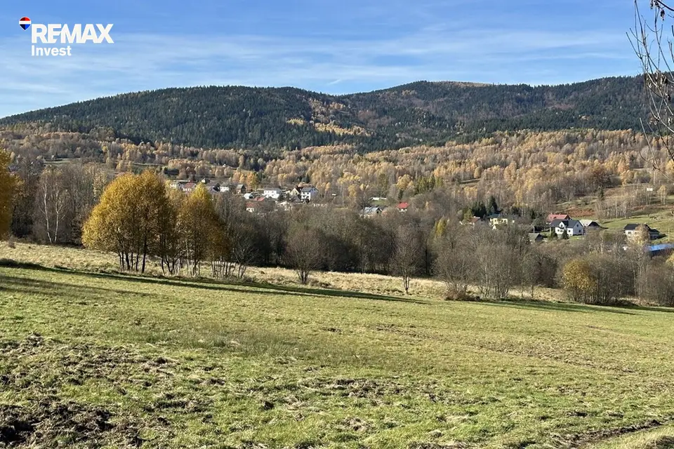 Zdjęcie 12