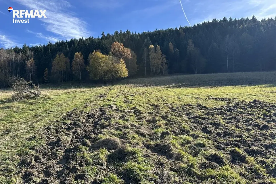 Zdjęcie 12