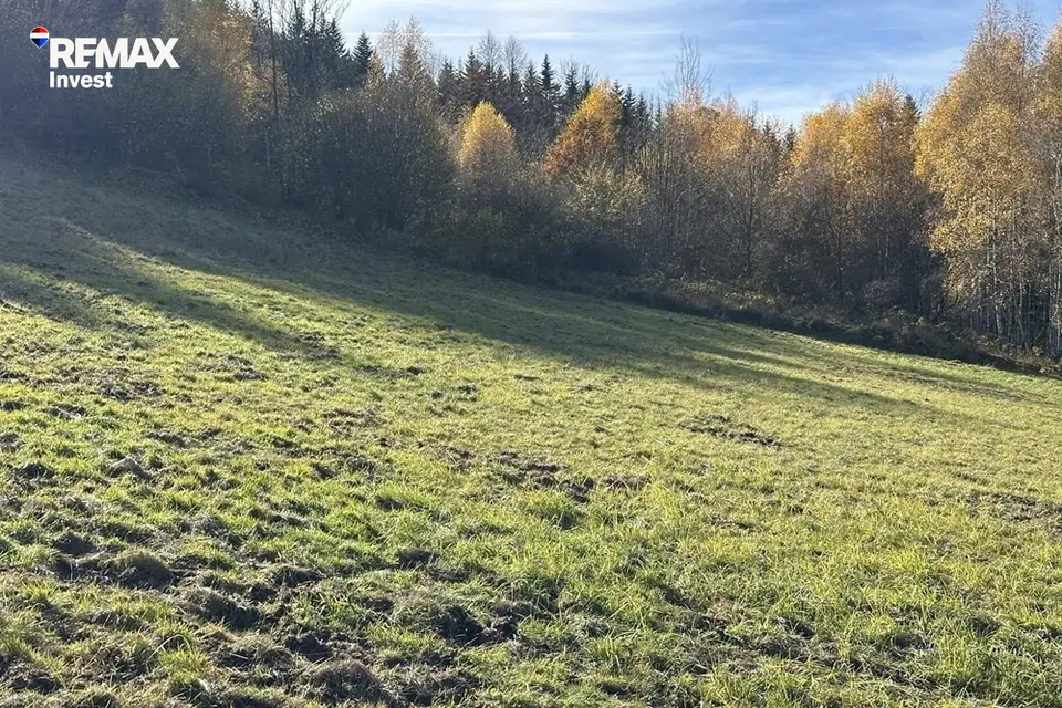 Zdjęcie 13