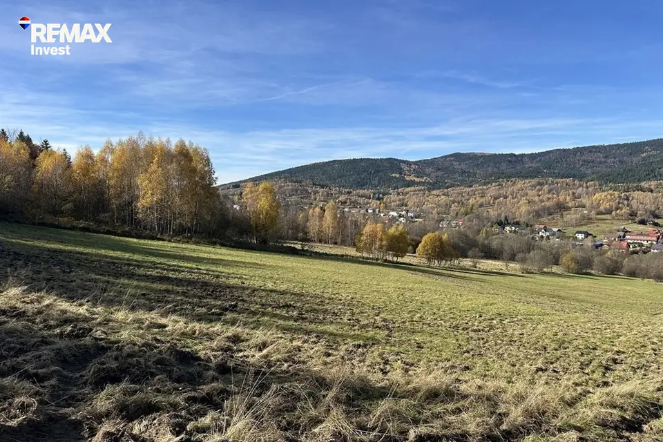 Zdjęcie 14