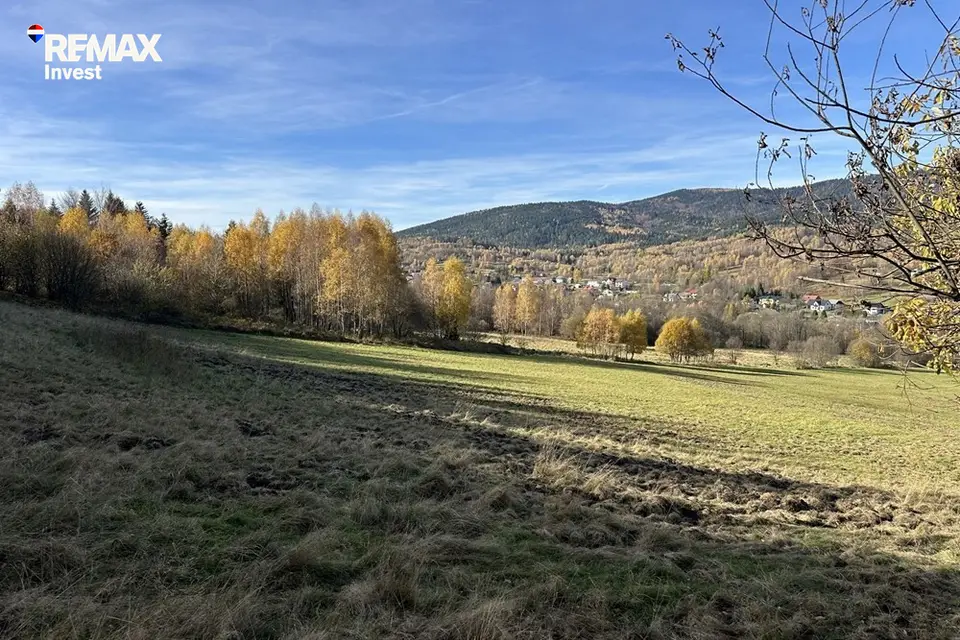 Zdjęcie 15