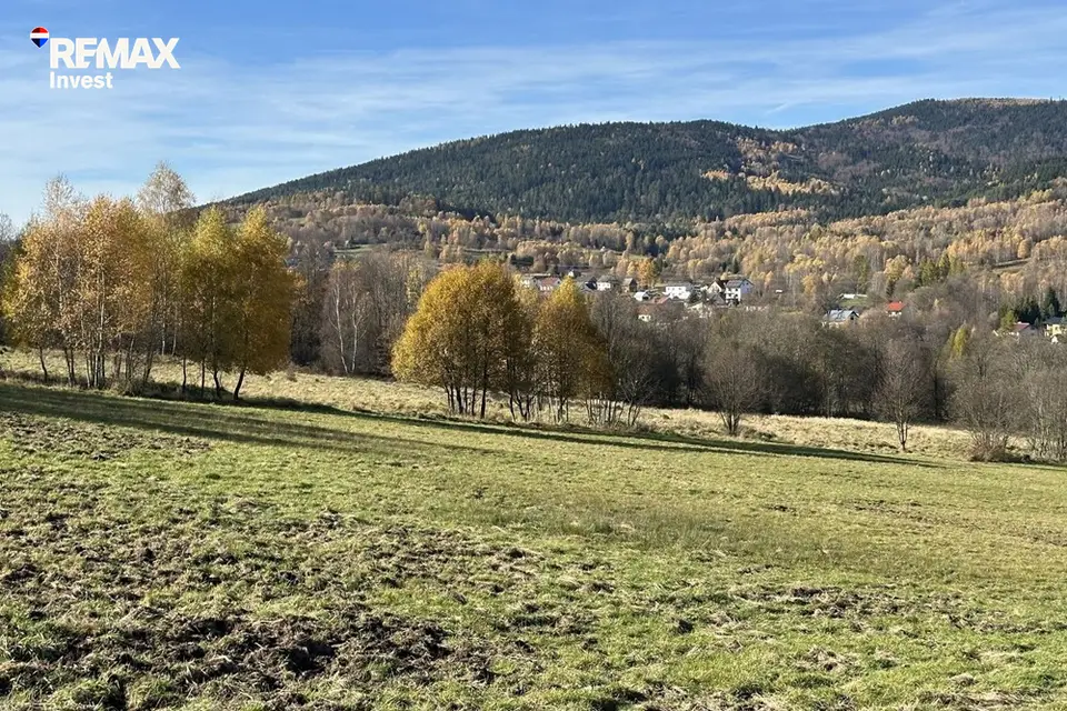 Zdjęcie 16