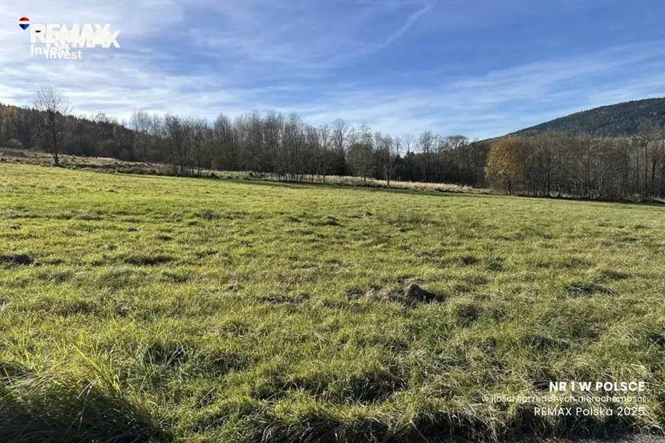 Działka budowlana 3 000 m², Las