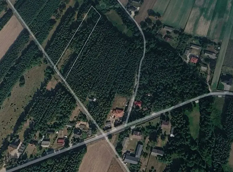 Zdjęcie 8