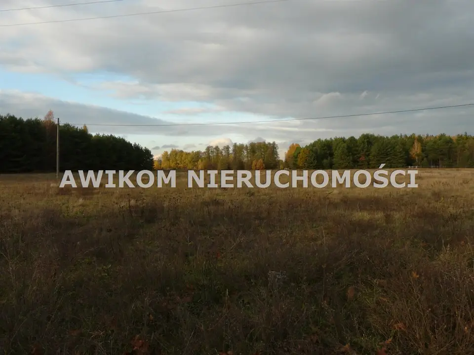 Działka budowlana i inwestycyjna 1 199 m², Puszcza Mariańska
