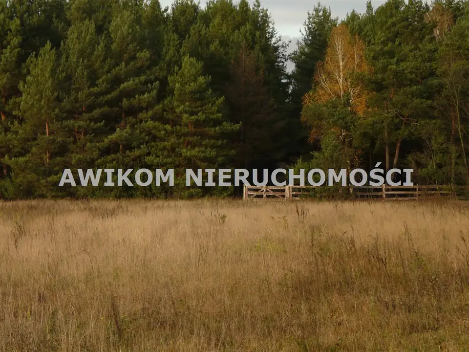 Zdjęcie 3