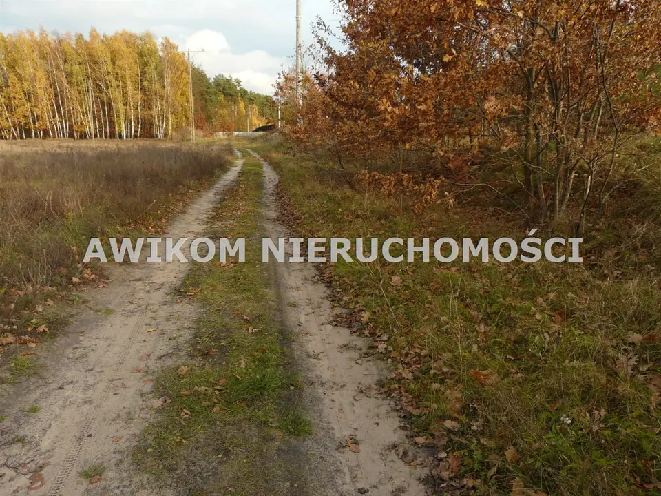 Działka budowlana i inwestycyjna 1 202 m², Puszcza Mariańska
