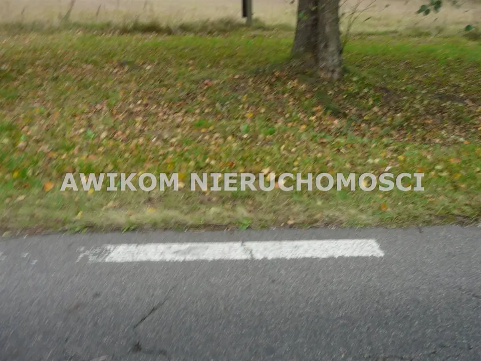 Zdjęcie 4