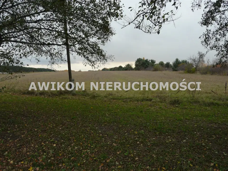 Zdjęcie 5