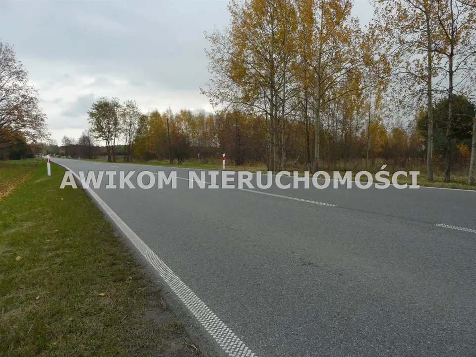 Zdjęcie 6