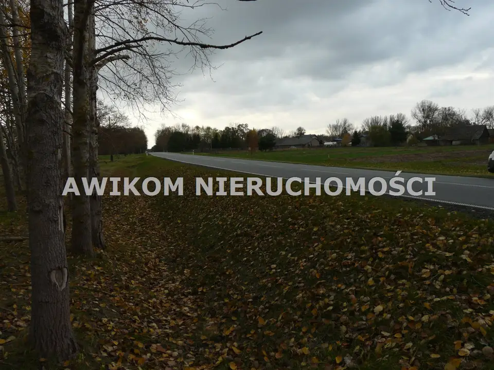 Zdjęcie 7