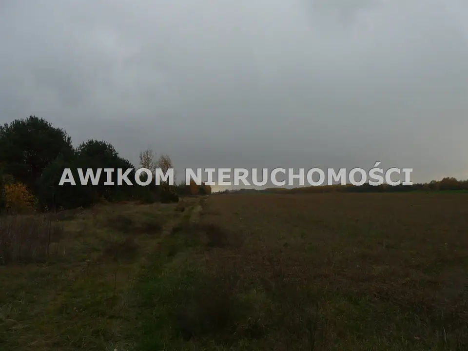Zdjęcie 8