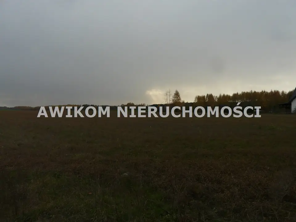 Zdjęcie 9