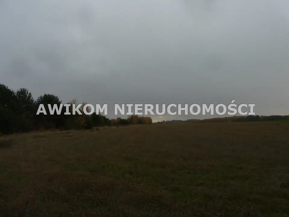 Zdjęcie 11