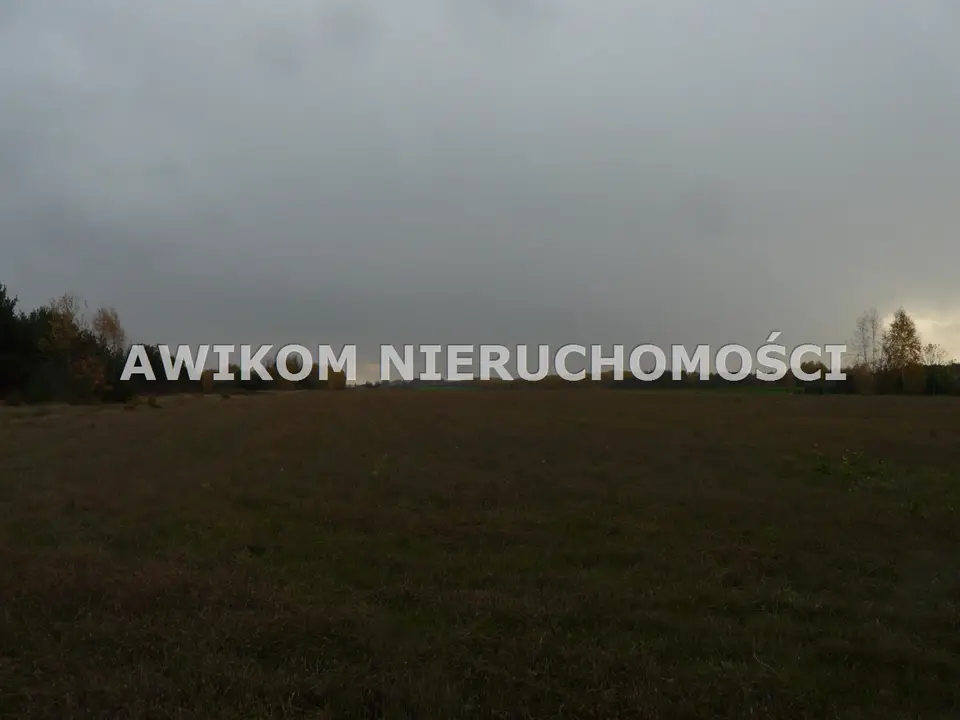 Zdjęcie 12