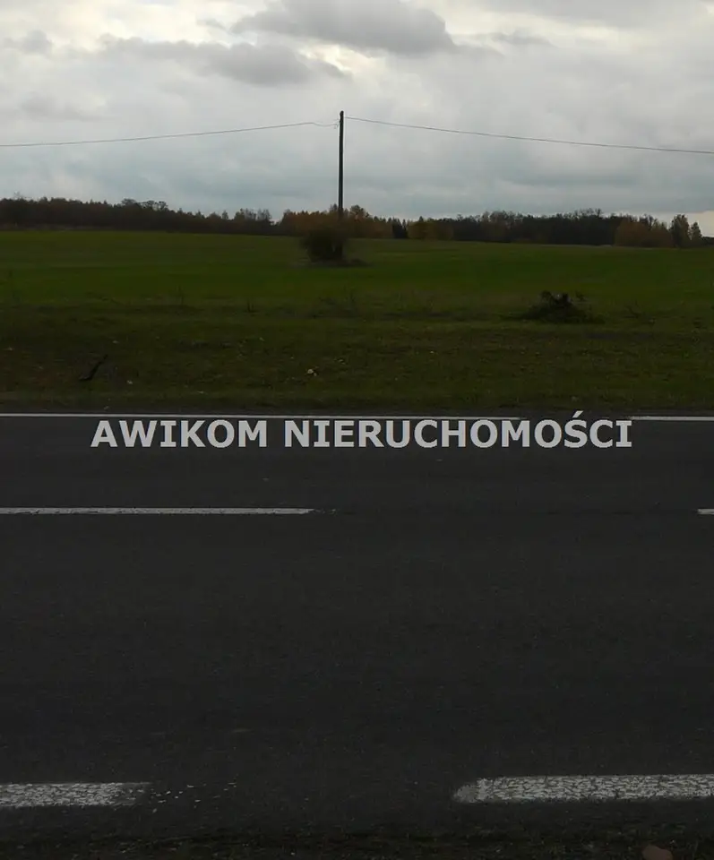 Zdjęcie 4