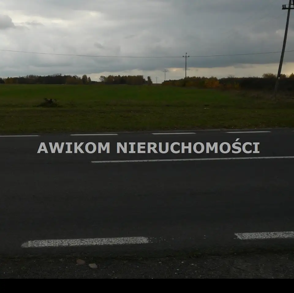 Zdjęcie 5