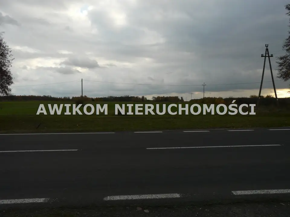 Zdjęcie 6