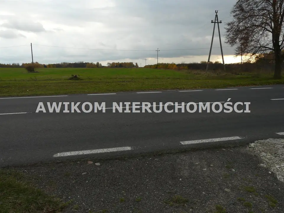Zdjęcie 7