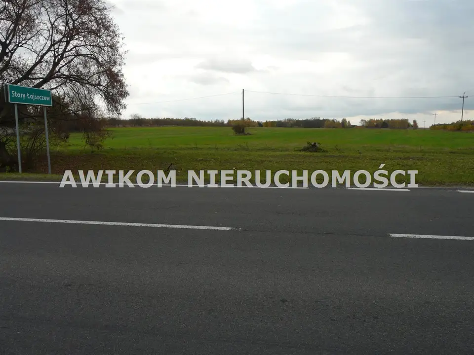 Zdjęcie 8