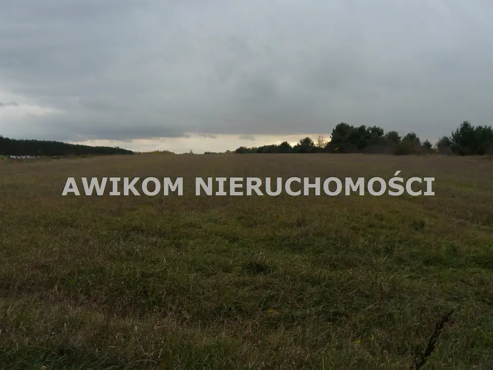 Zdjęcie 10