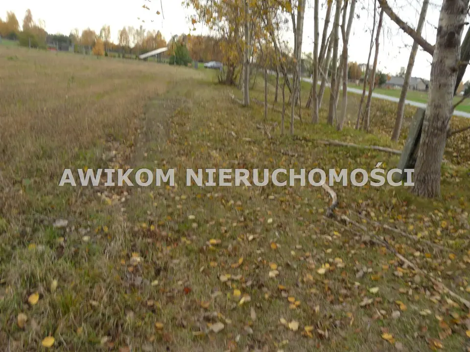 Zdjęcie 12