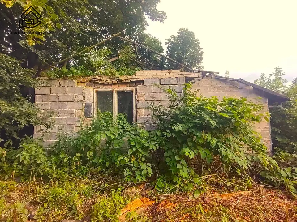 Zdjęcie 3