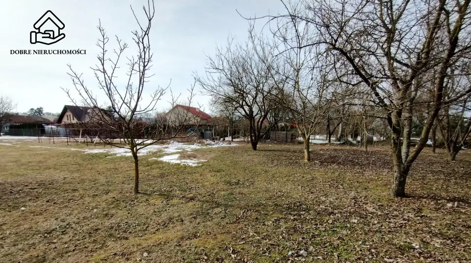 Zdjęcie 4
