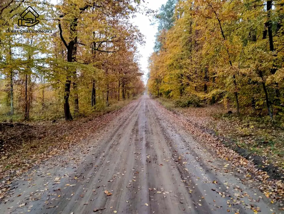 Działka inwestycyjna 1,11 ha, Majdan Kozłowiecki