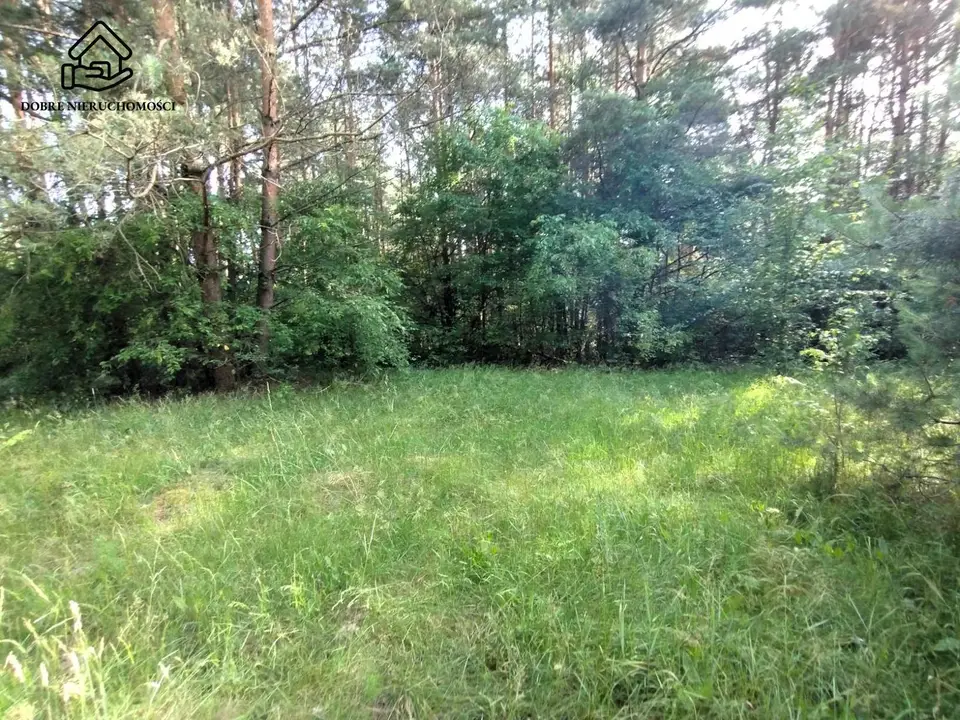 Działka rekreacyjna 2 951 m², Dąbrówka