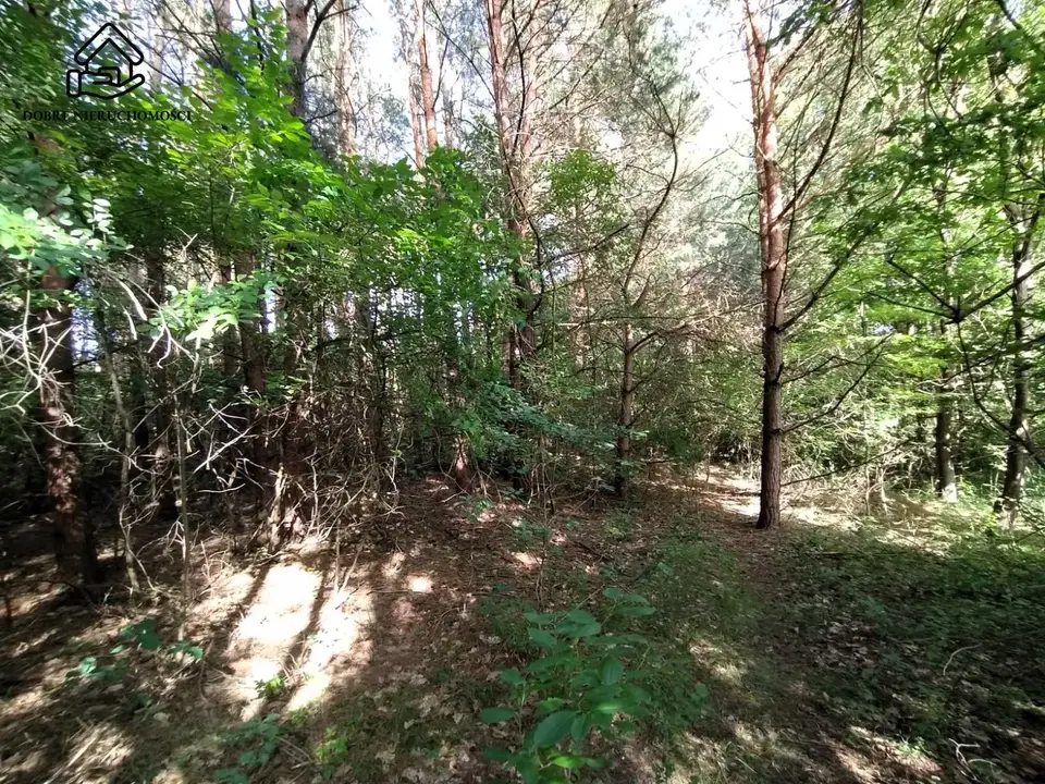 Zdjęcie 2