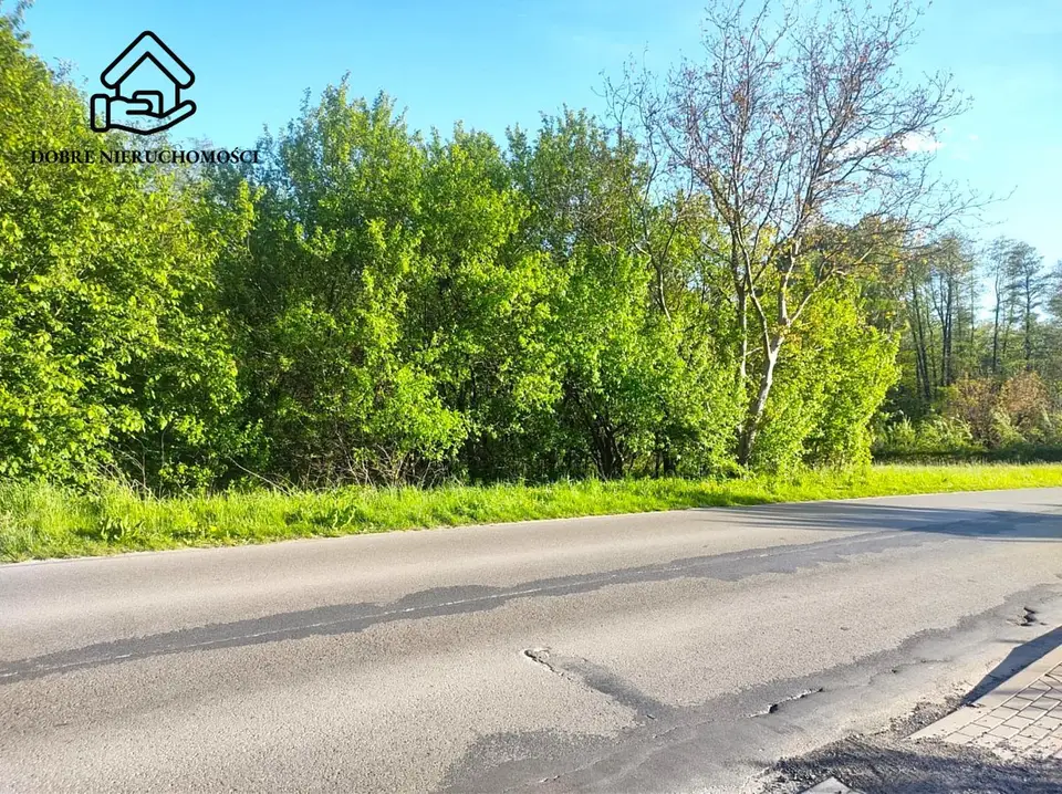 Działka rekreacyjna i leśna 2 200 m², Motycz