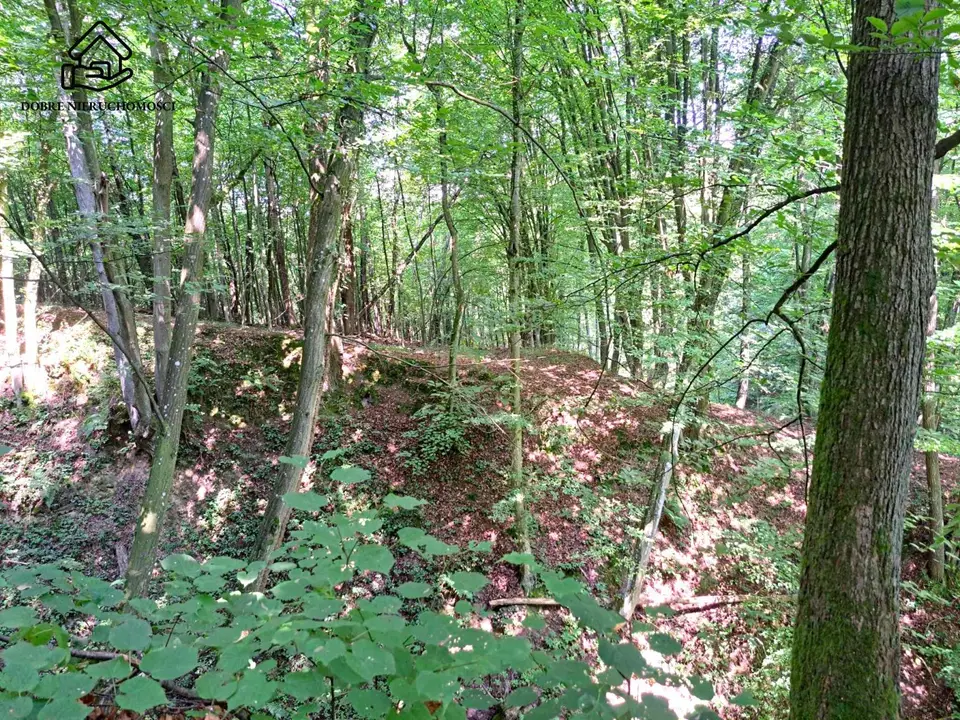 Działka leśna 1,58 ha, Kazimierz Dolny