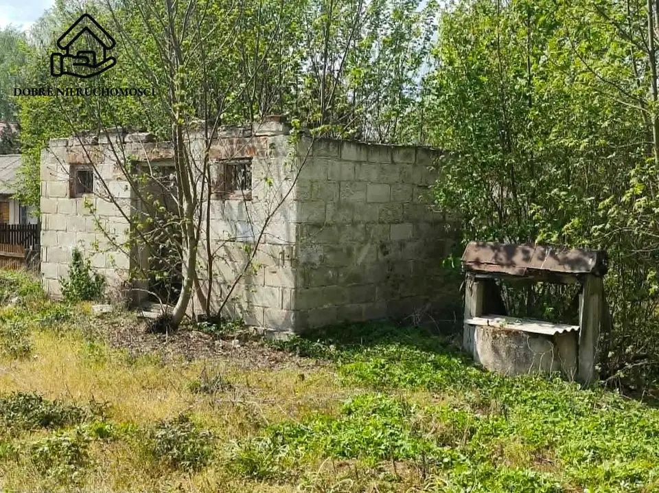 Zdjęcie 3