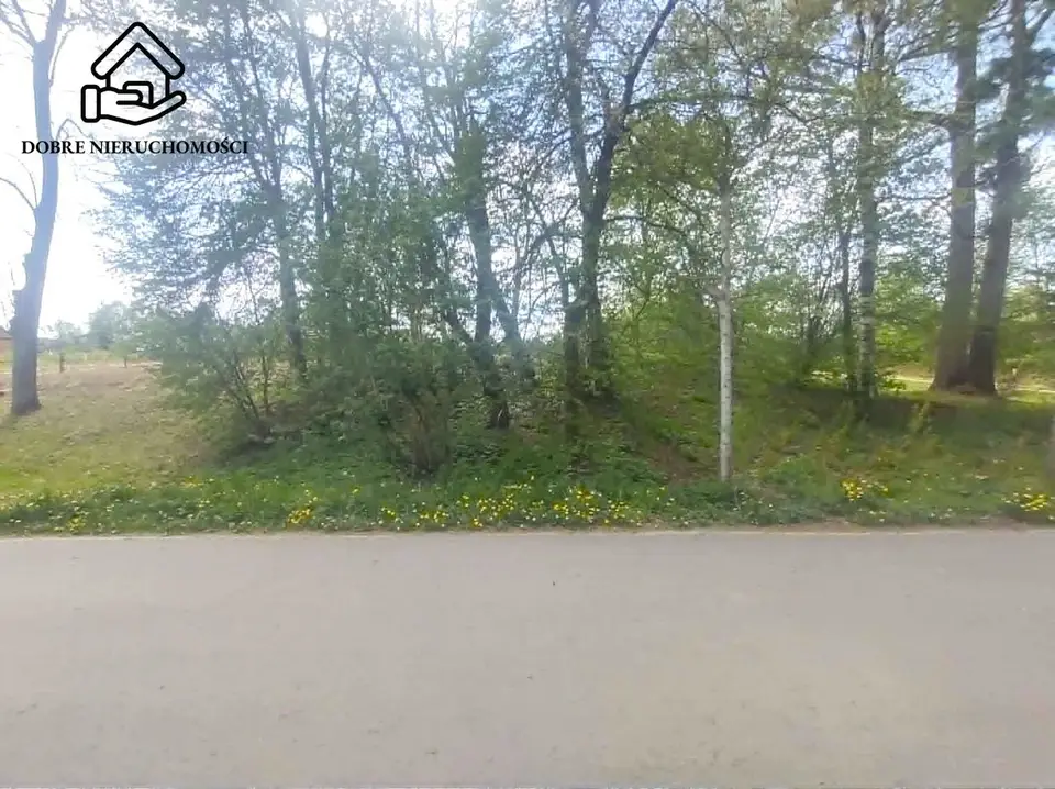Zdjęcie 5