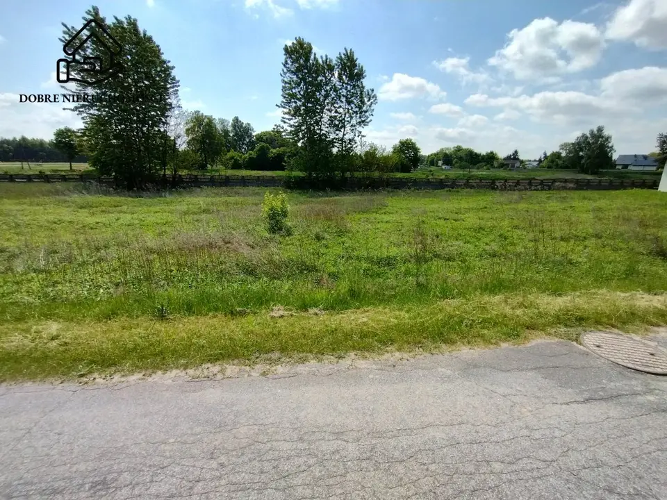 Zdjęcie 2