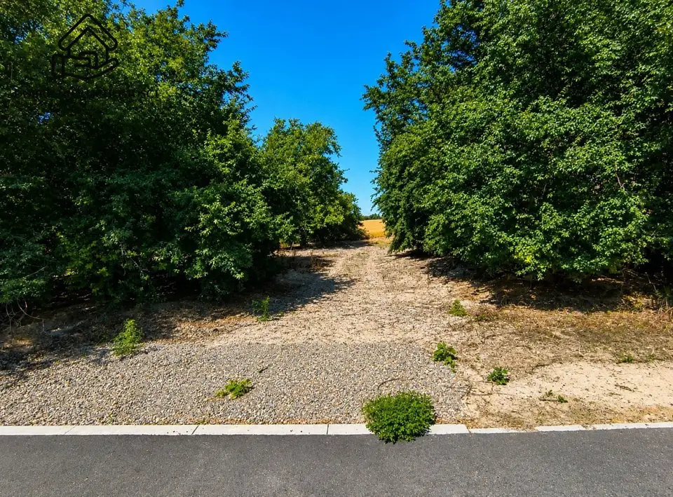 Działka budowlana i rolna 4 500 m², Zalesie
