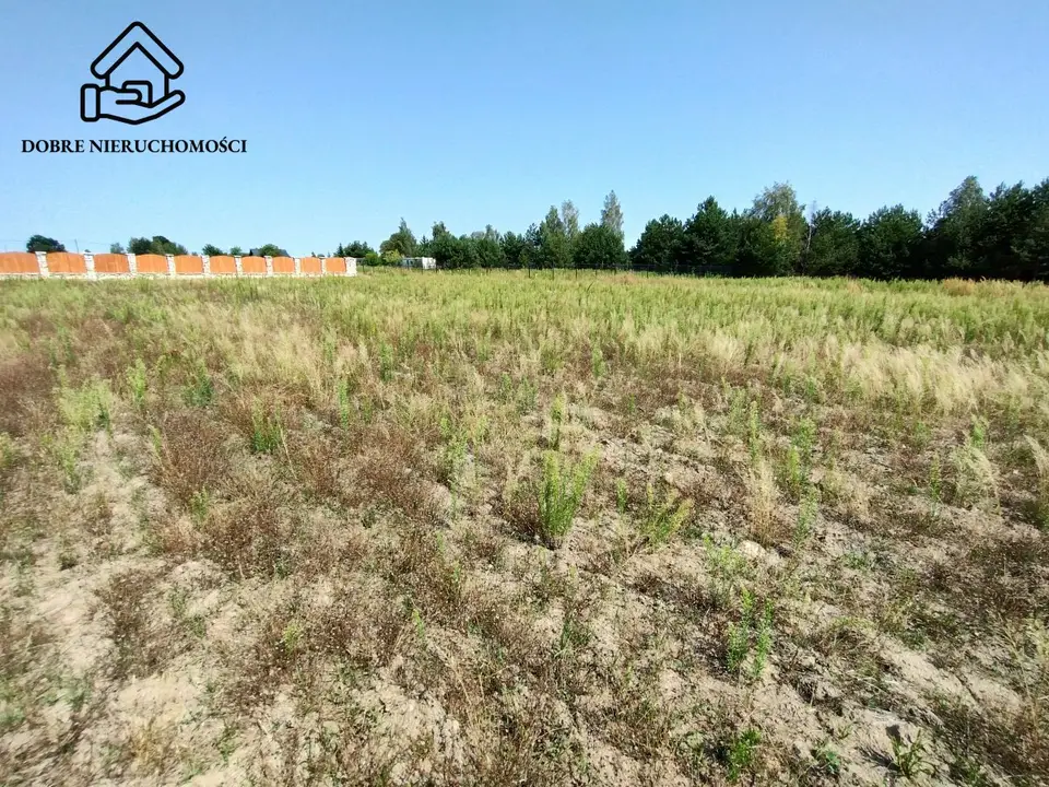 Działka budowlana 1 667 m², Pryszczowa Góra