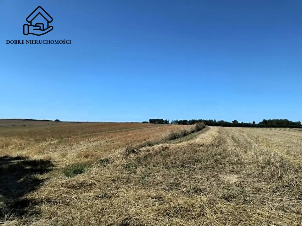 Działka rolna 1,12 ha, Chłaniów