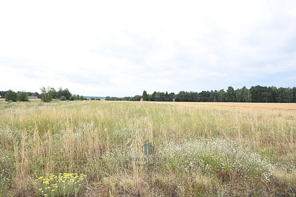 Działka siedliskowa 8 200 m², Górka