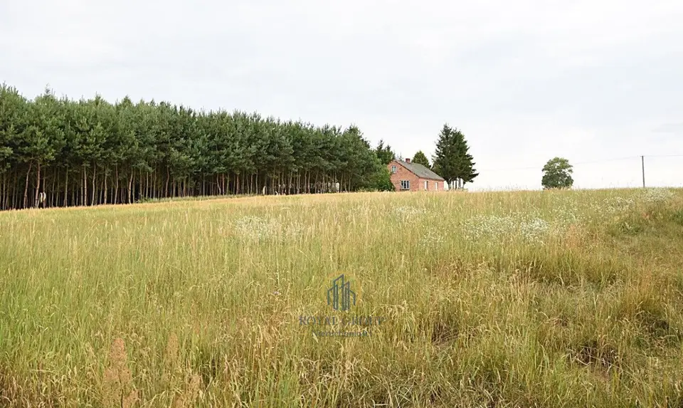 Zdjęcie 8