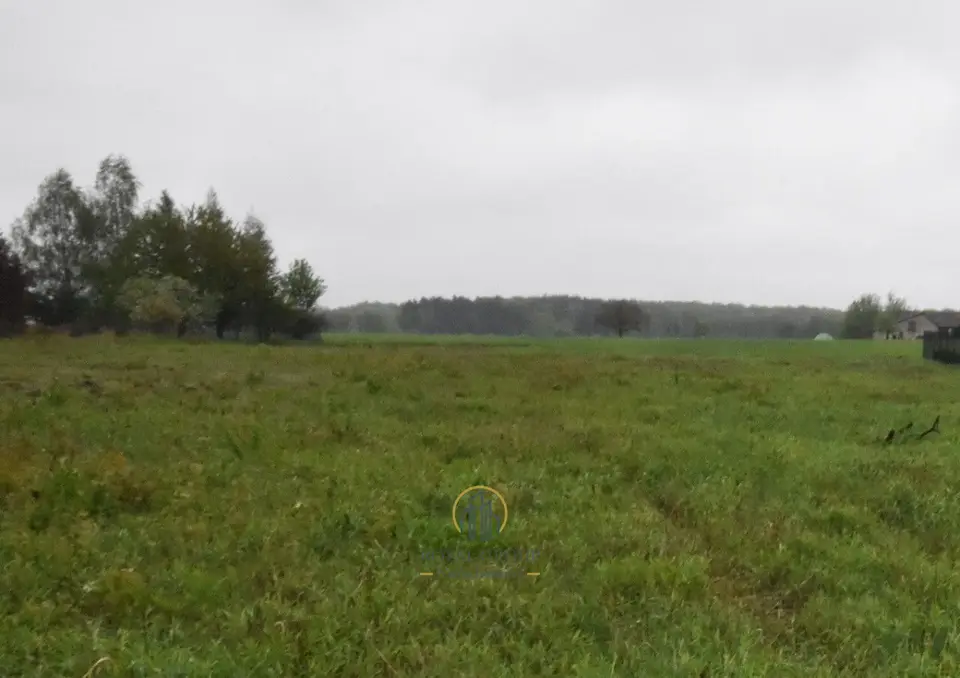 Zdjęcie 2